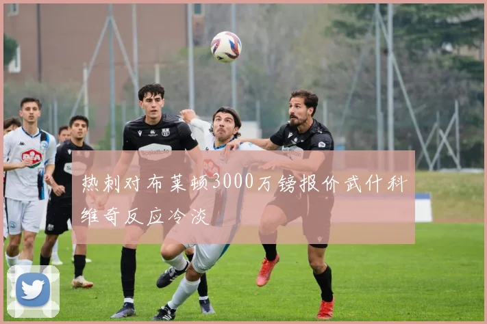 热刺对布莱顿3000万镑报价武什科维奇反应冷淡